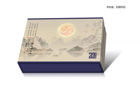 《汉风山泉液设计案例》